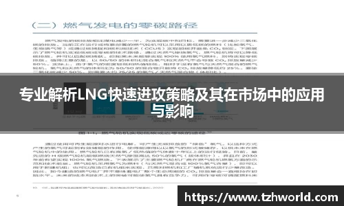 专业解析LNG快速进攻策略及其在市场中的应用与影响